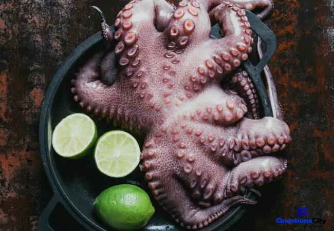 What Does An Octopus Eat