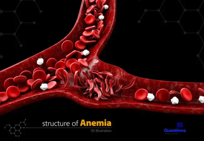 What Is Anaemia