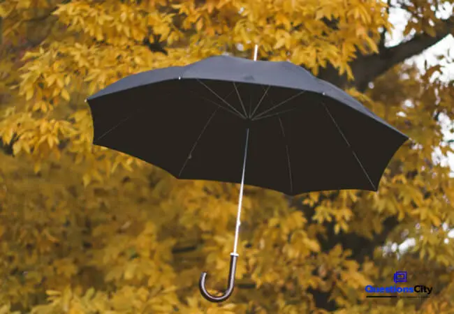 When Was The Umbrella Invented