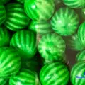 Melons Originate