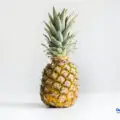 Pineapple Get Its Name