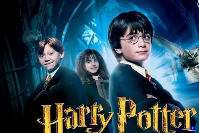 Harry Potter Book VS Movie