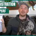 how much does it cost to akc register a dog