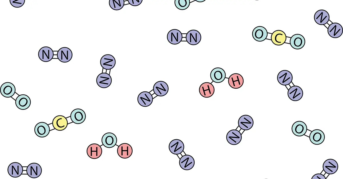 carbon-vs-nitrogen-cycle