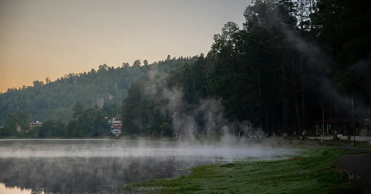 Cloud and Fog