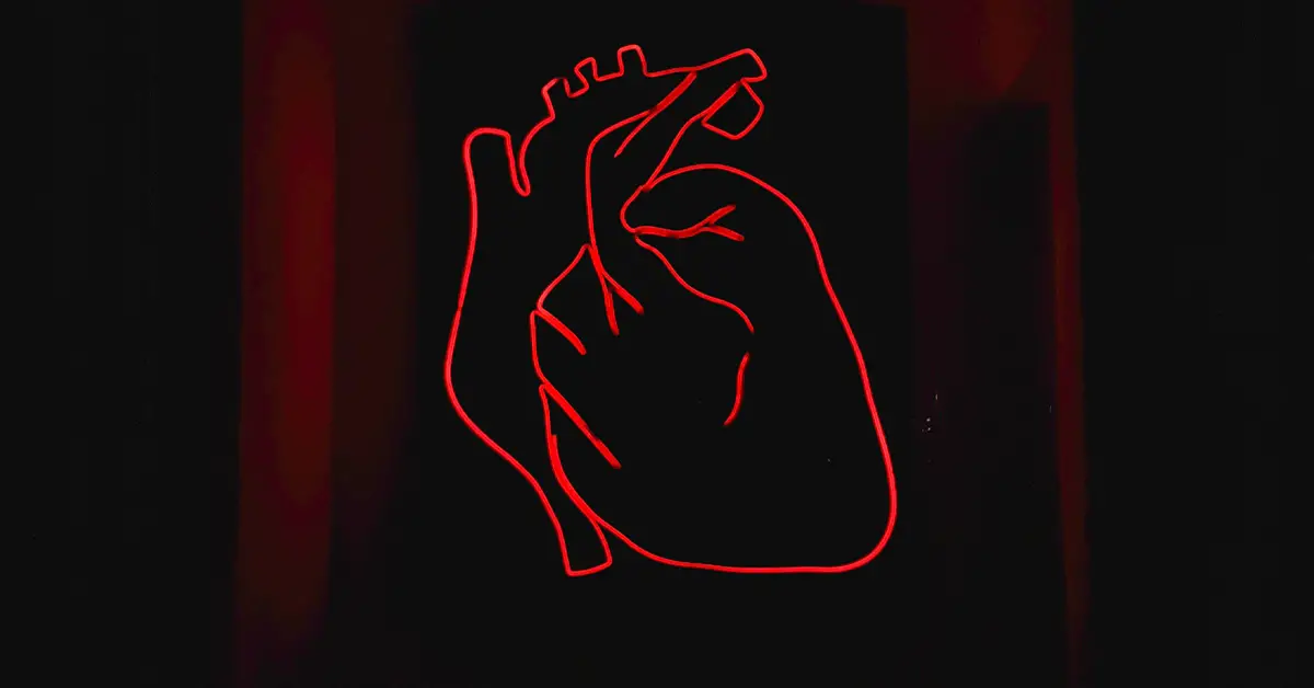 Heart