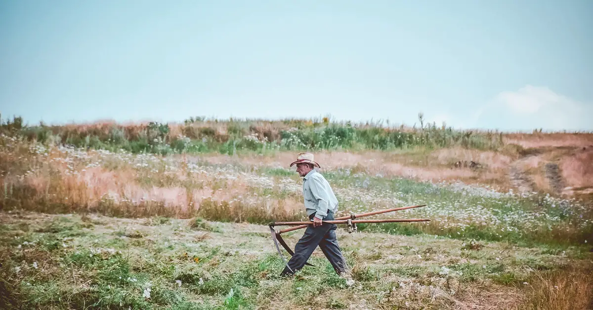 Scythes And Sickles