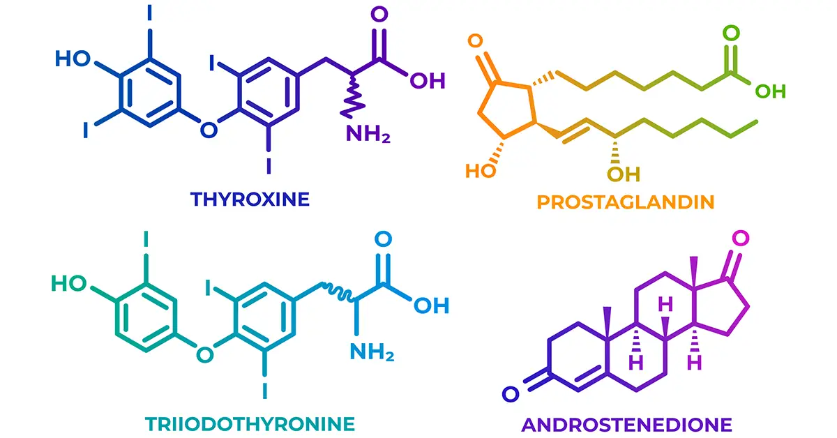 differences-between-atp-vs-adp