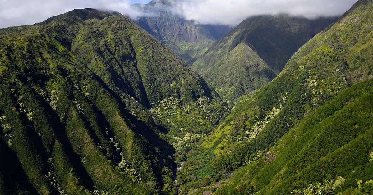 Hawaii Formed