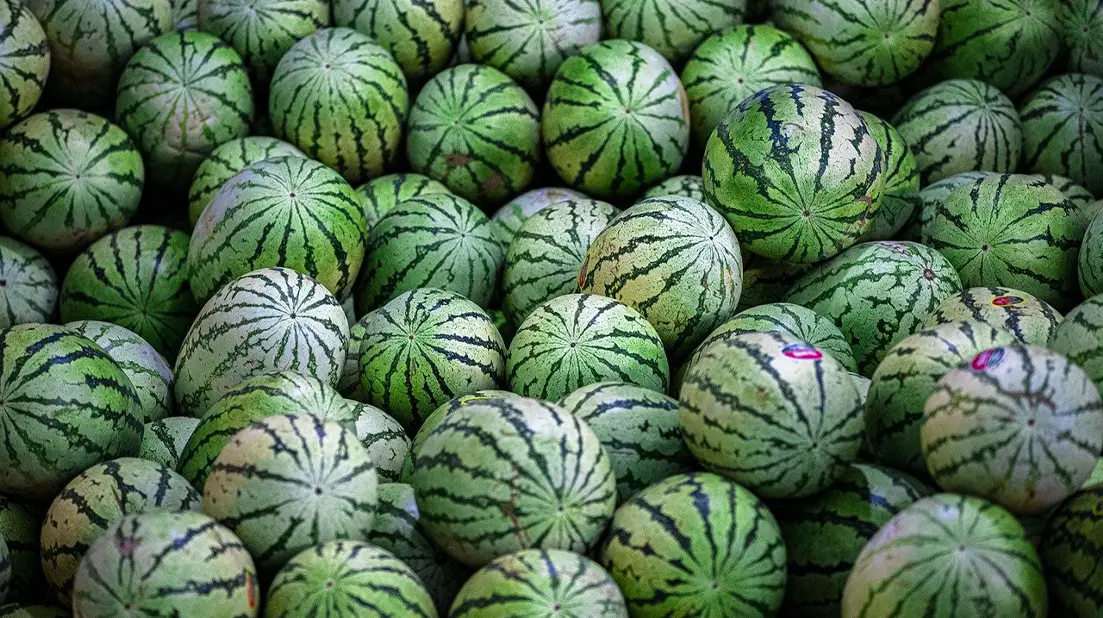 Melons