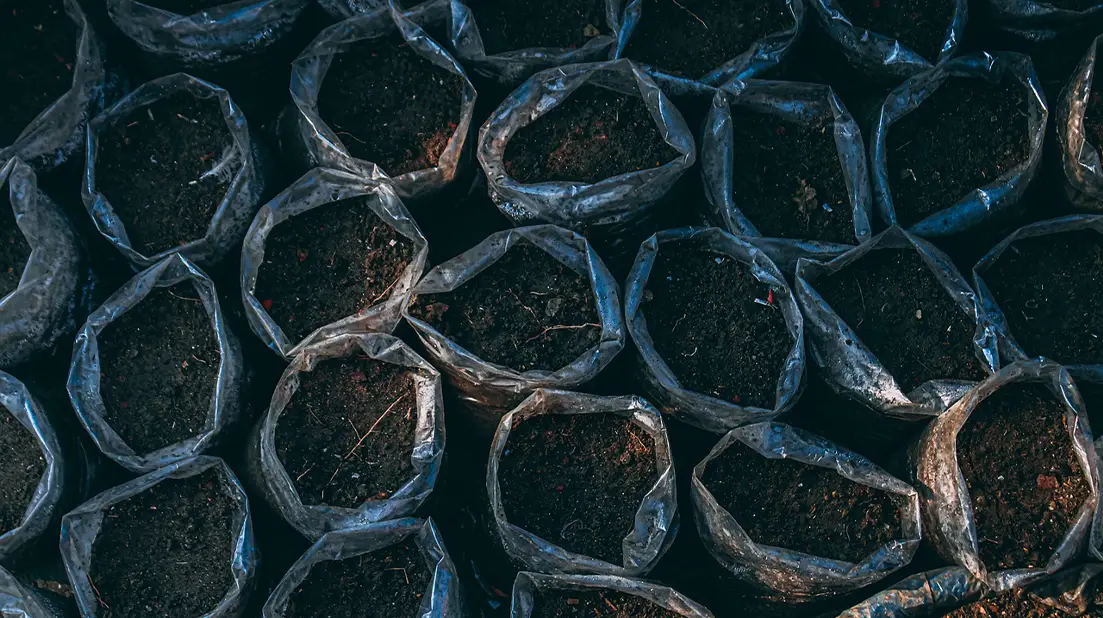 Soil